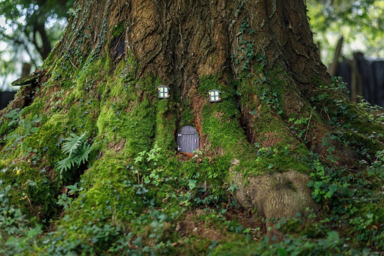 Finca La Peniga Mazcuerras Εξωτερικό φωτογραφία