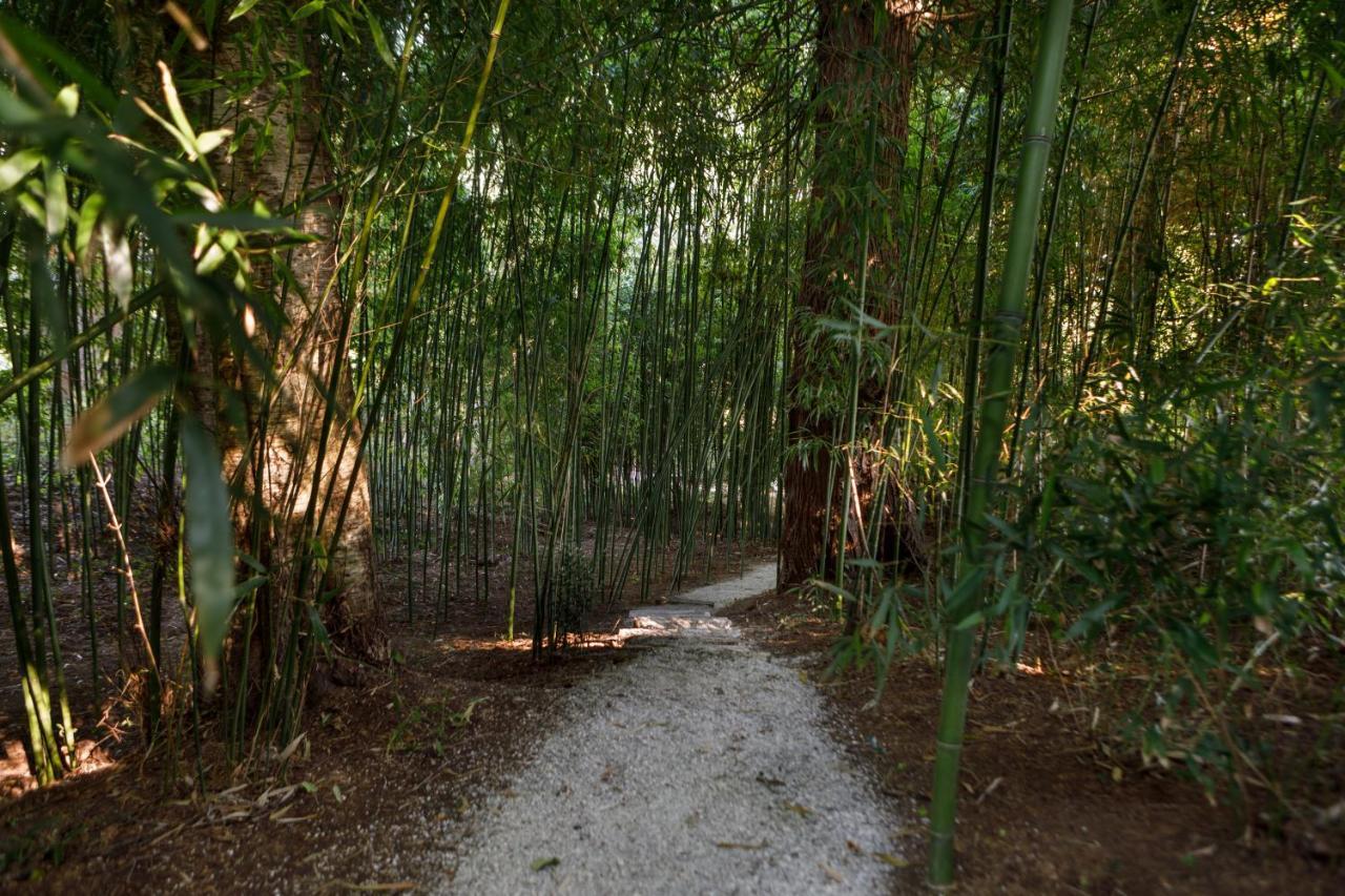 Finca La Peniga Mazcuerras Εξωτερικό φωτογραφία