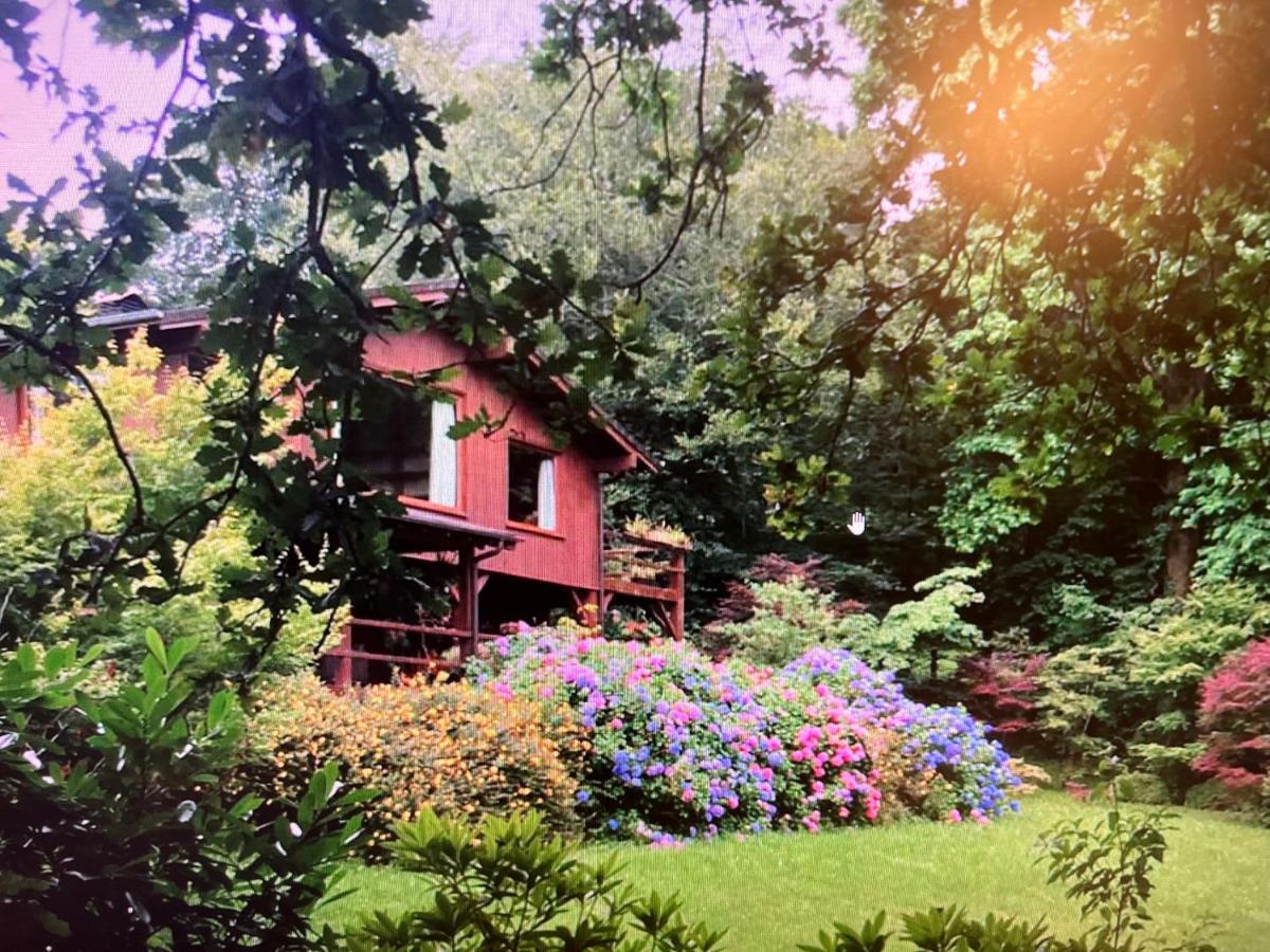 Finca La Peniga Mazcuerras Εξωτερικό φωτογραφία